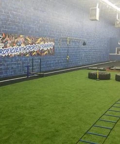 ProMounds On Deck Sports 12'W Arena Padded Artificial Turf NTWFArena